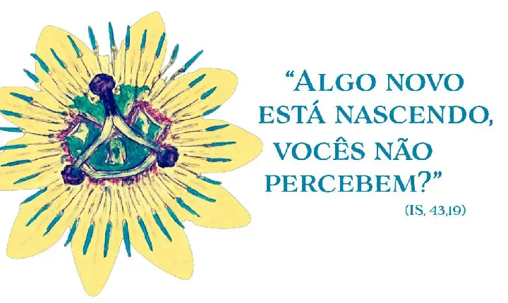A CEAMA avança para sua VI Assembleia Geral: algo novo está nascendo na Amazônia