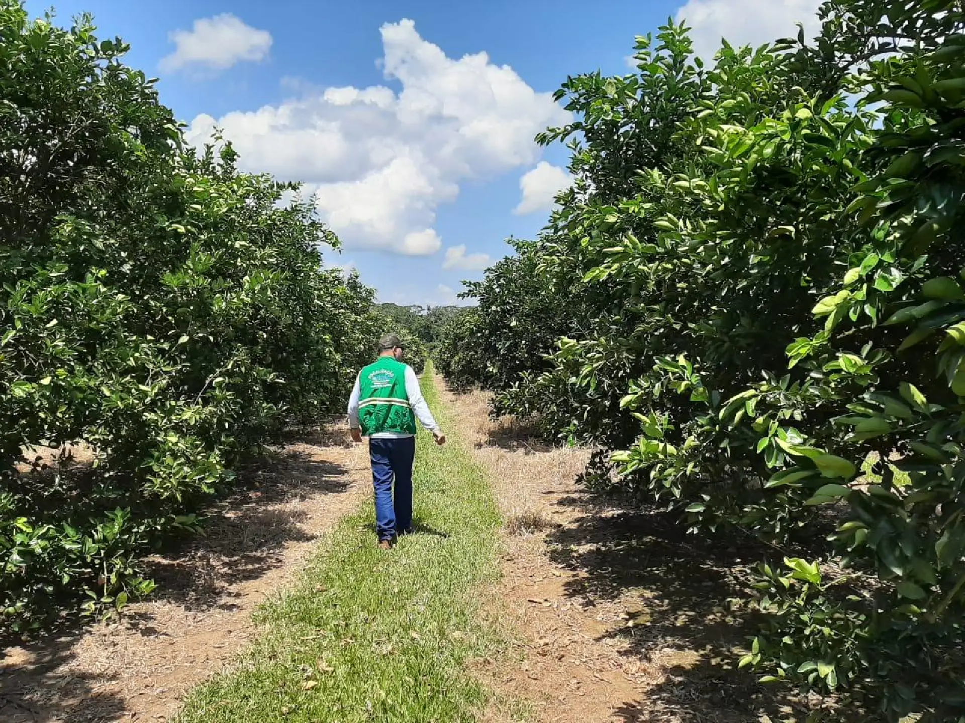 Aderr intensifica controle fitossanitário com visitas a propriedades rurais