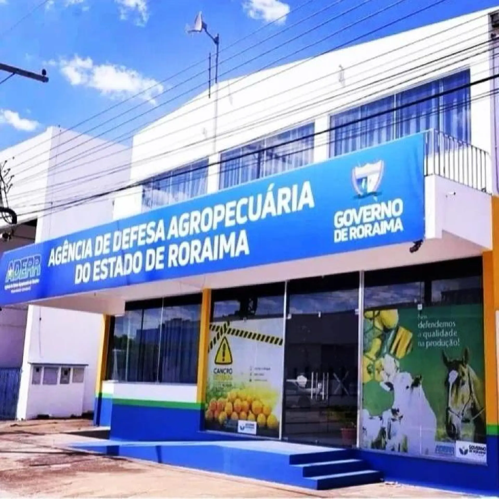 Aderr retoma fiscalização no Aeroporto de Boa Vista para conter mosca-da-carambola