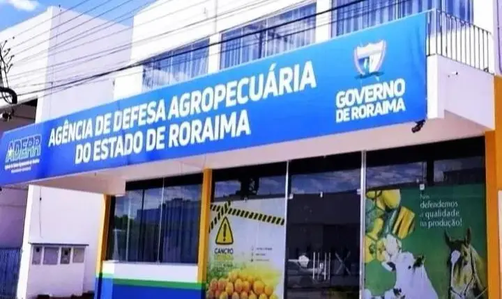Aderr retoma fiscalização no Aeroporto de Boa Vista para conter mosca-da-carambola