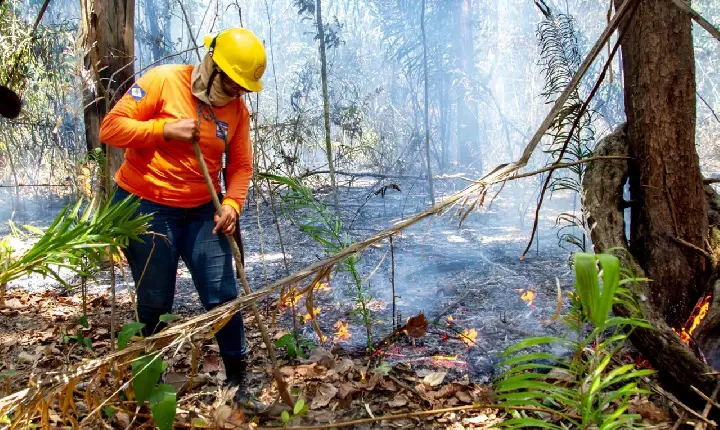 ALERR aprova Política Estadual de Segurança Contra Incêndios