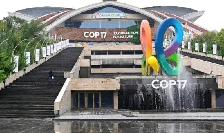 APIB cobra proteção efetiva dos territórios indígenas na COP 17