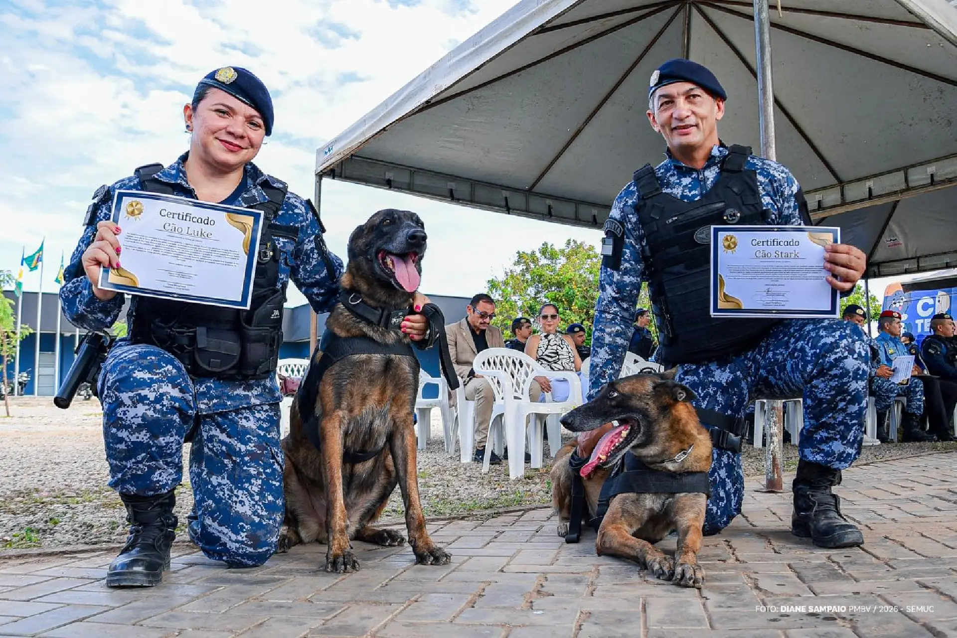 Após sete anos de atuação, cães da Guarda Civil Municipal se aposentam