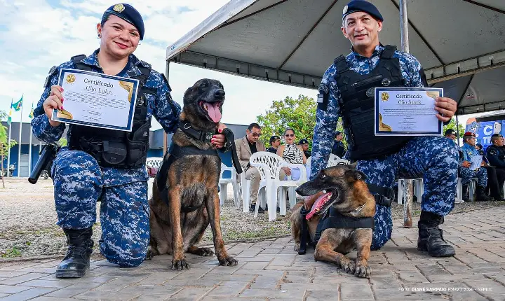 Após sete anos de atuação, cães da Guarda Civil Municipal se aposentam