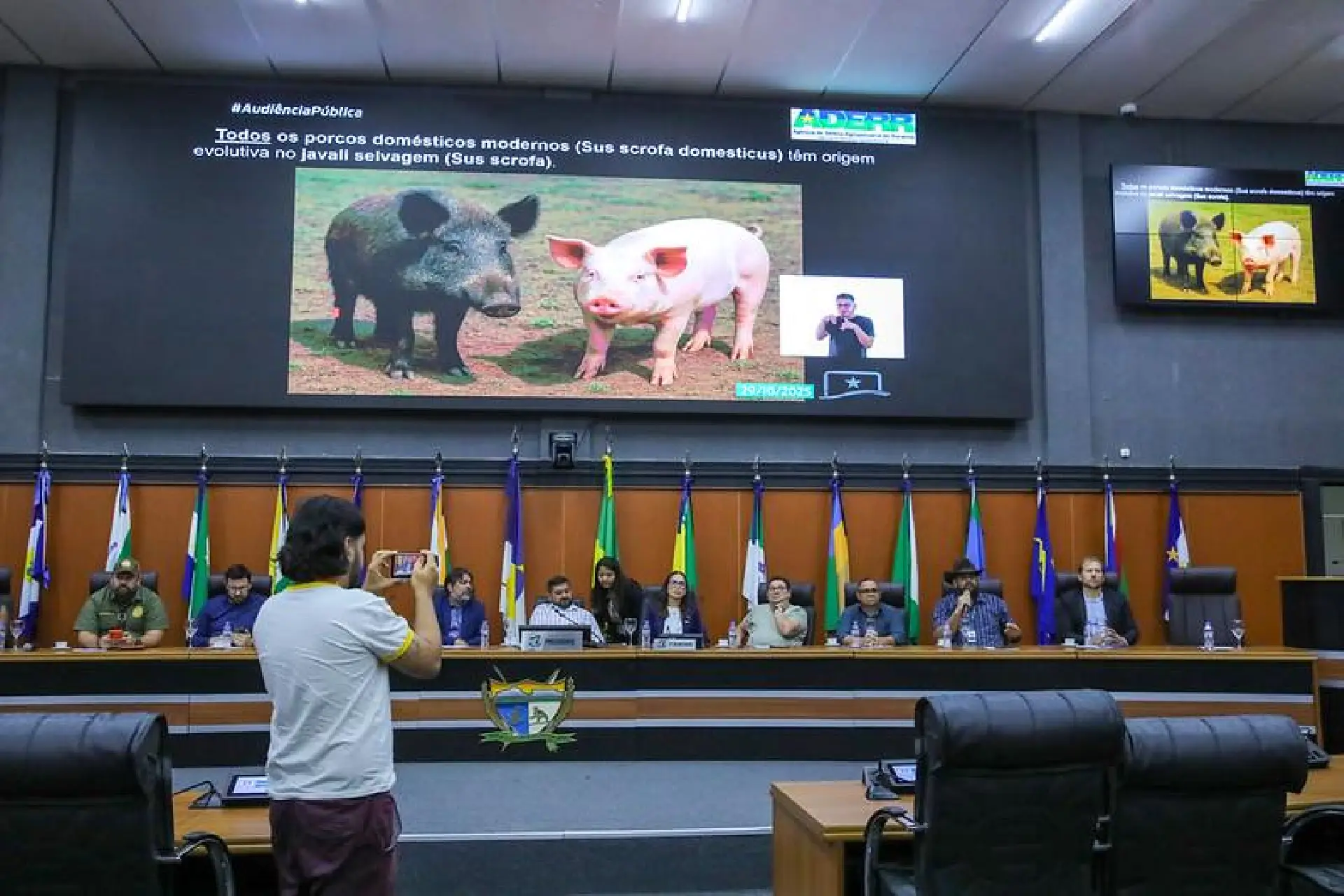 Audiência discute impactos do javali e propõe elaboração de projeto