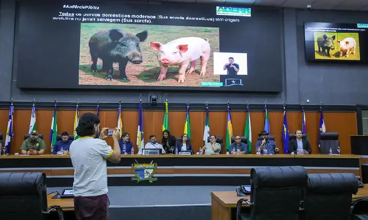 Audiência discute impactos do javali e propõe elaboração de projeto