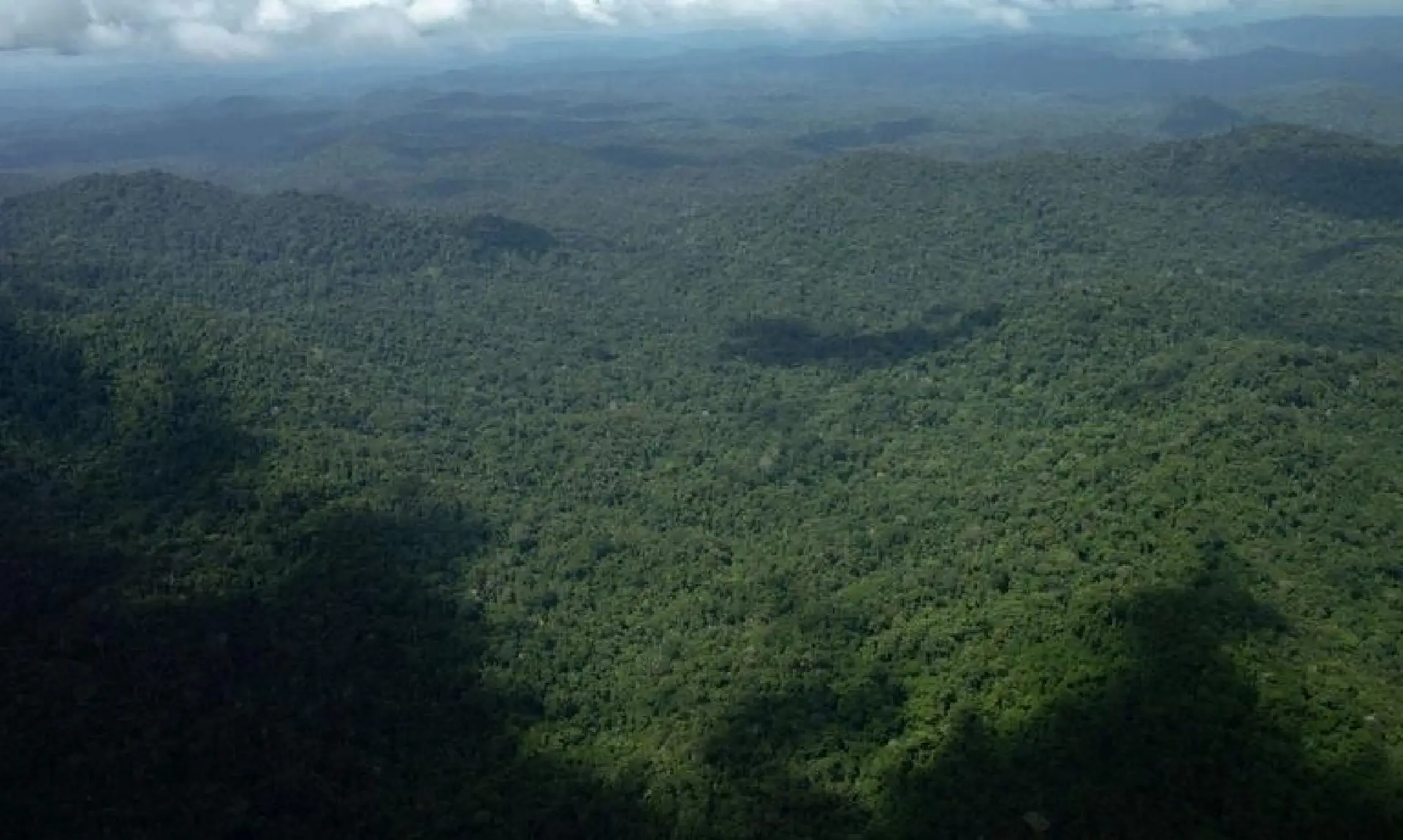 Avanço do garimpo na Terra Yanomami desacelera e novas áreas caem 99%