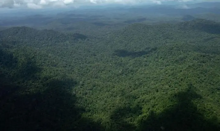 Avanço do garimpo na Terra Yanomami desacelera e novas áreas caem 99%