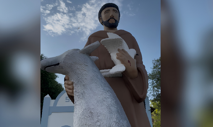 Bênção dos animais integra programação da festa de São Francisco das Chagas