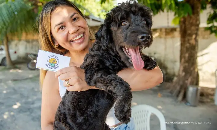 Boa Vista intensifica vacinação antirrábica a partir deste sábado