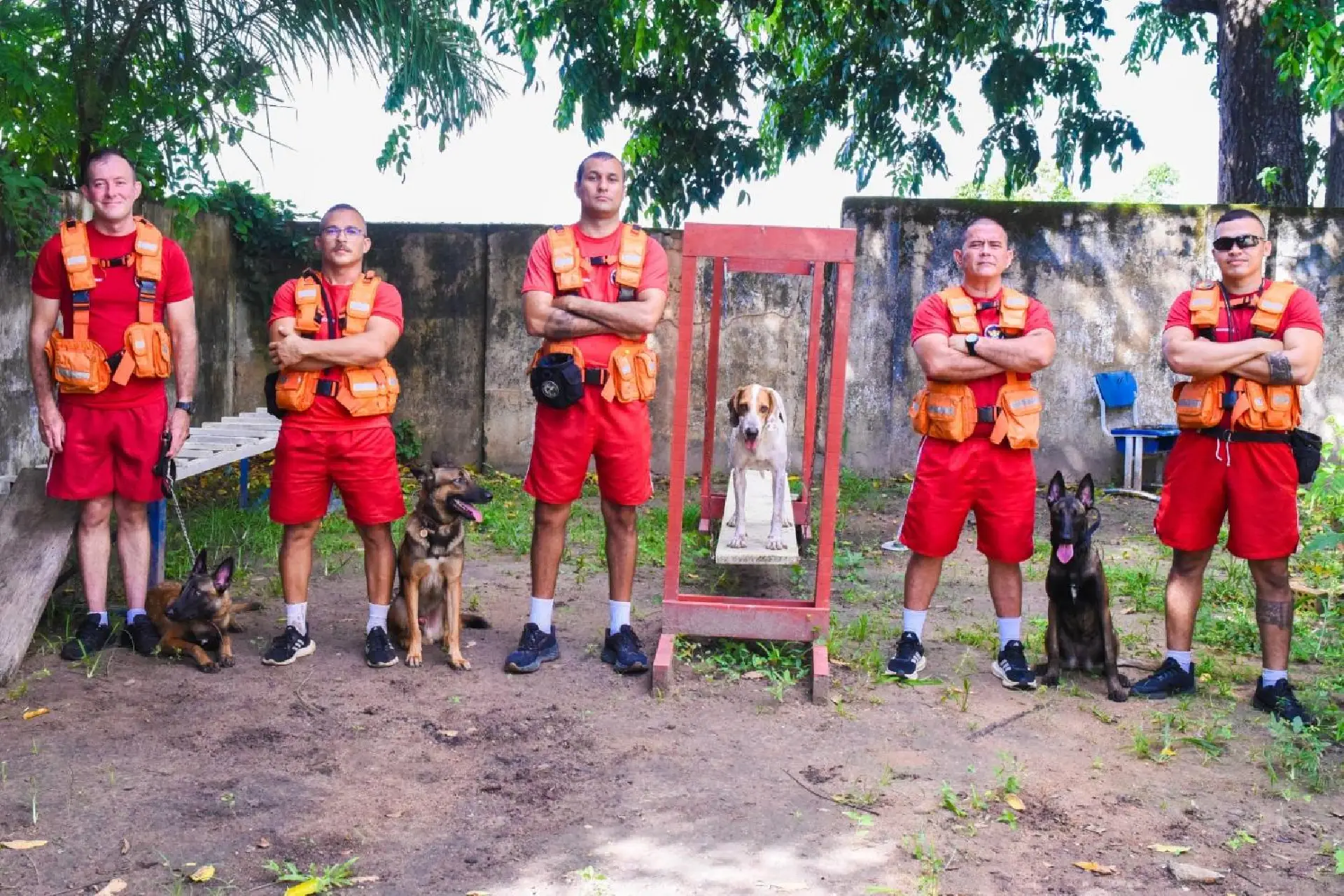 Cães do Corpo de Bombeiros auxiliam na localização de pessoas desaparecidas em Roraima