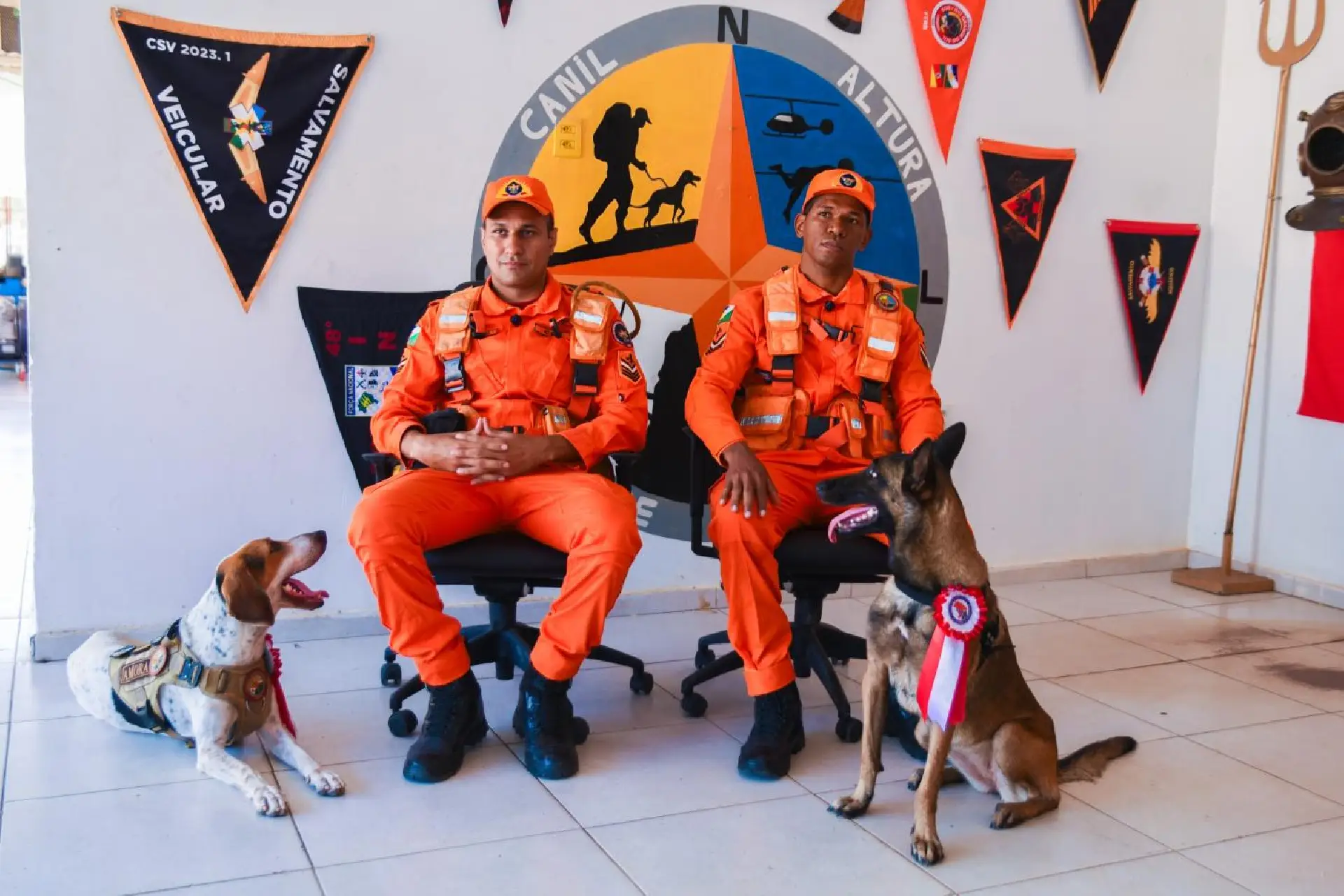 Cães do Corpo de Bombeiros de Roraima são certificados para buscas e resgates