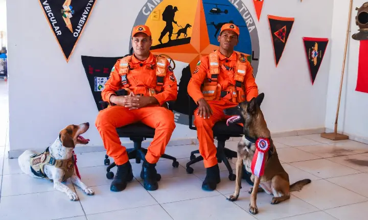 Cães do Corpo de Bombeiros de Roraima são certificados para buscas e resgates