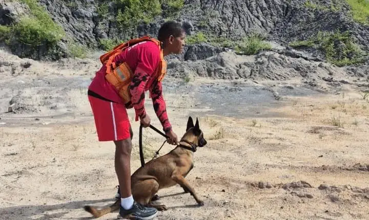 Cães do Corpo de Bombeiros passam por treinamento para missões de resgate