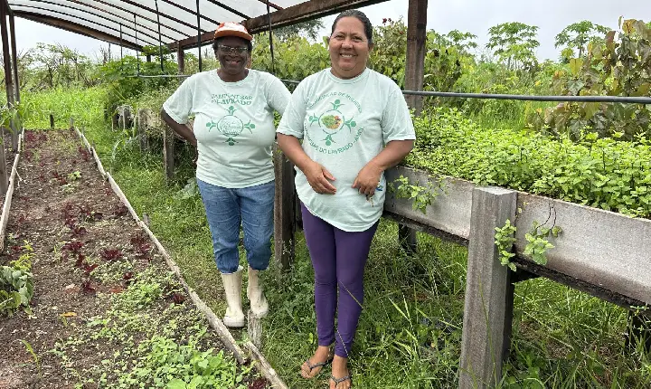 Camponesas do Lavrado: A Revolução Agroecológica de Mulheres no Campo