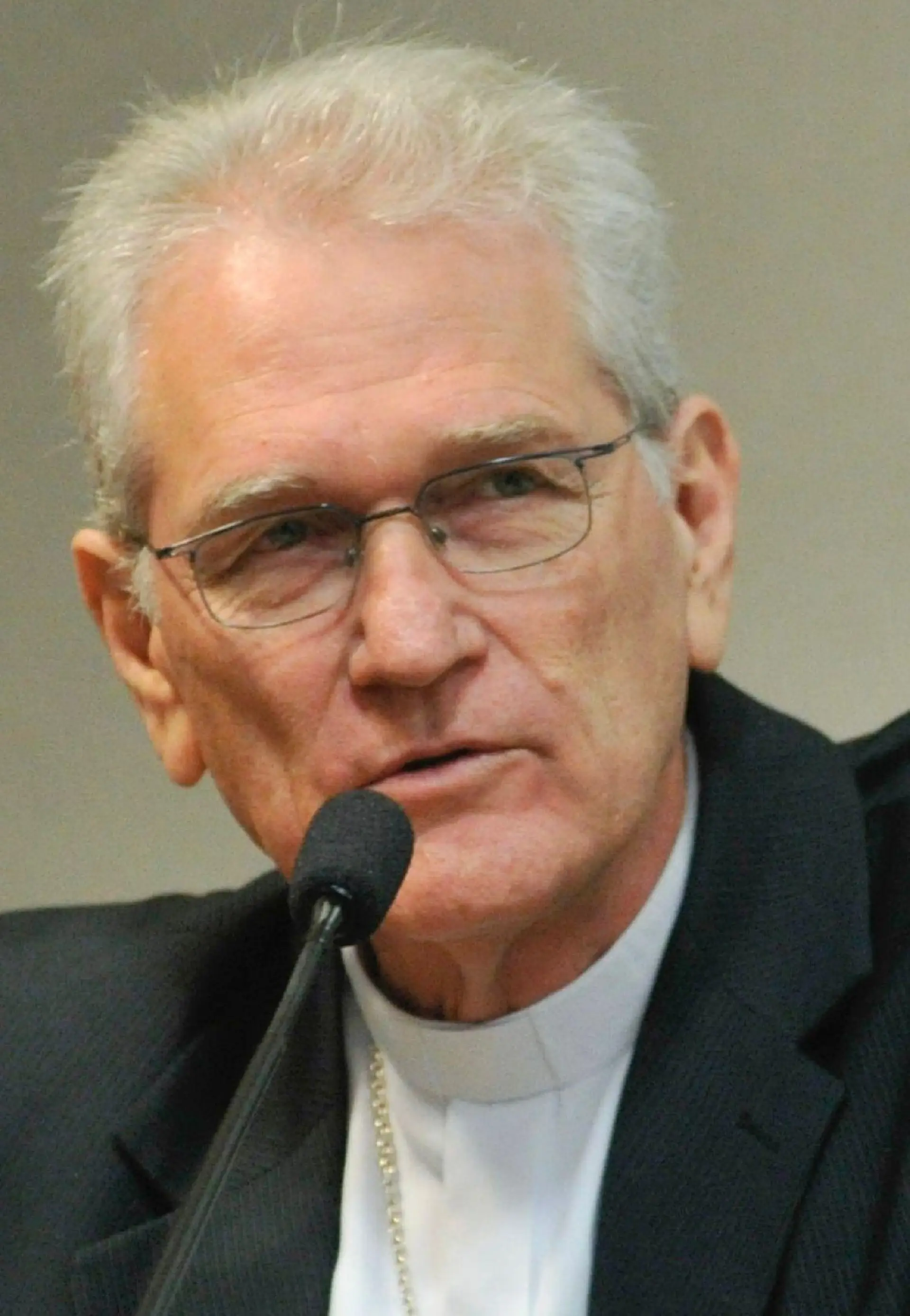 Cardeal Leonardo Steiner é eleito presidente da Conferência Eclesial da Amazônia