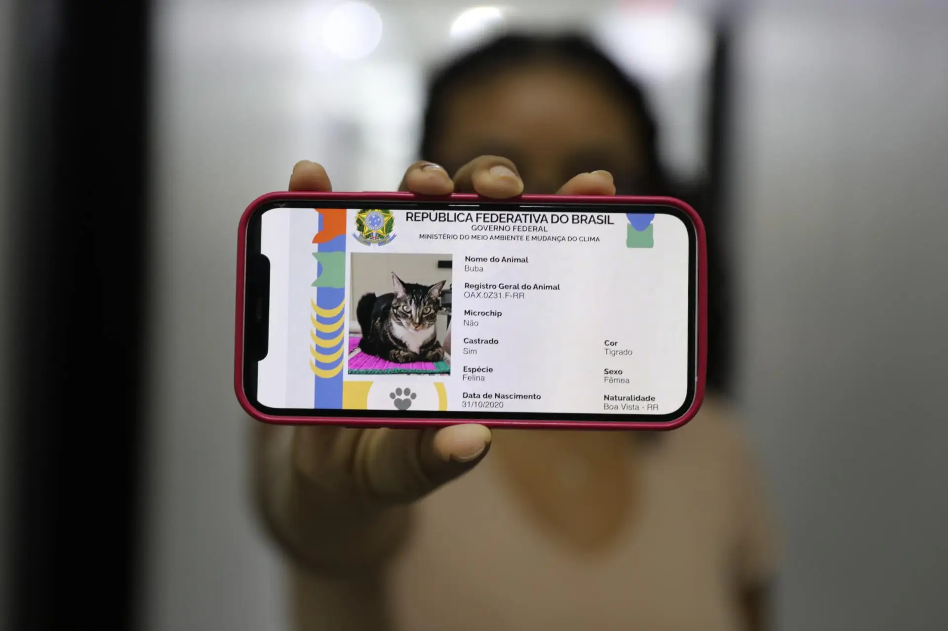 Carreta dos Direitos promove cadastro gratuito de cães e gatos nesta sexta-feira