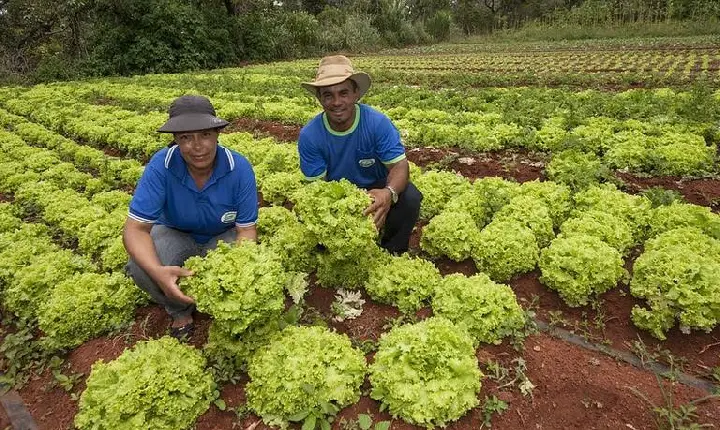 Com PAA, renda de agricultores familiares cresce até 30% e dependência do CadÚnico chega a cair 57%