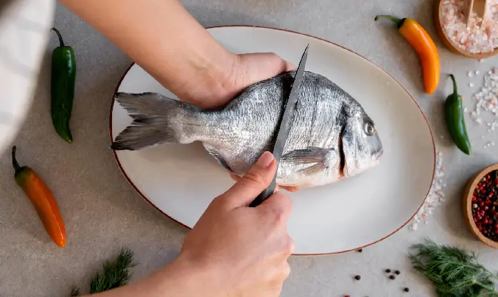 Como manter a segurança alimentar no armazenamento e preparo de peixes e frutos do mar
