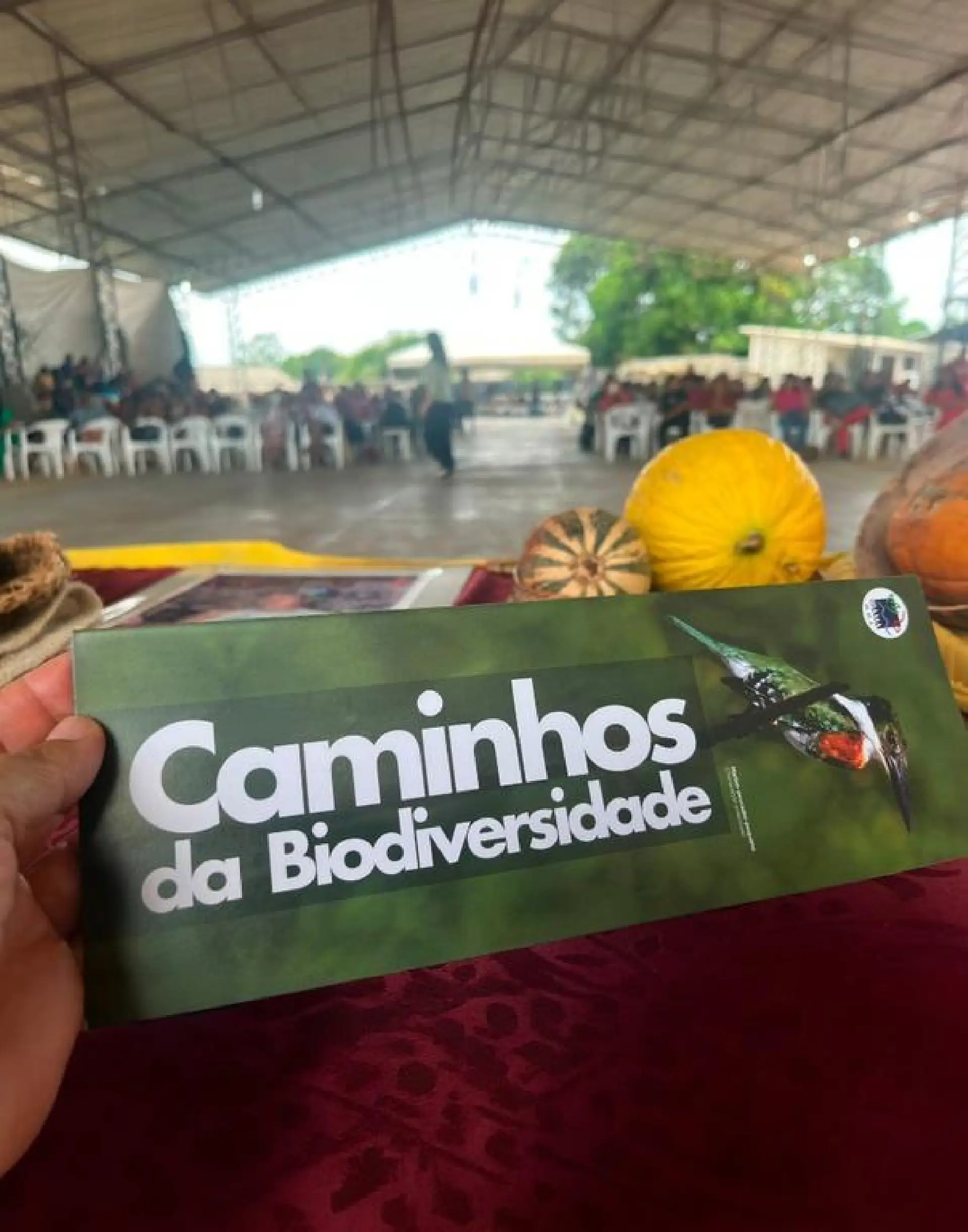 Comunidades indígenas de Roraima recebem ações do programa Caminhos da Biodiversidade