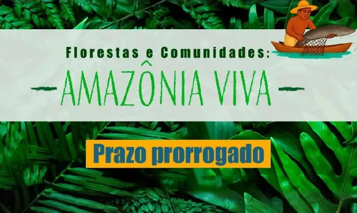 Conab adia divulgação do resultado preliminar da Chamada Pública Florestas e Comunidades: Amazônia Viva