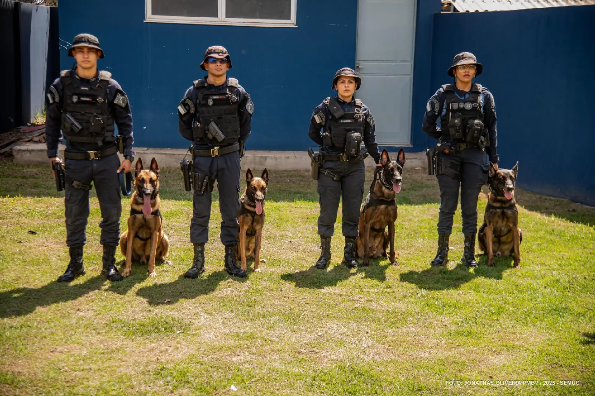 Conheça os cães da Guarda Civil Municipal que se destacam em ações de segurança em Boa Vista
