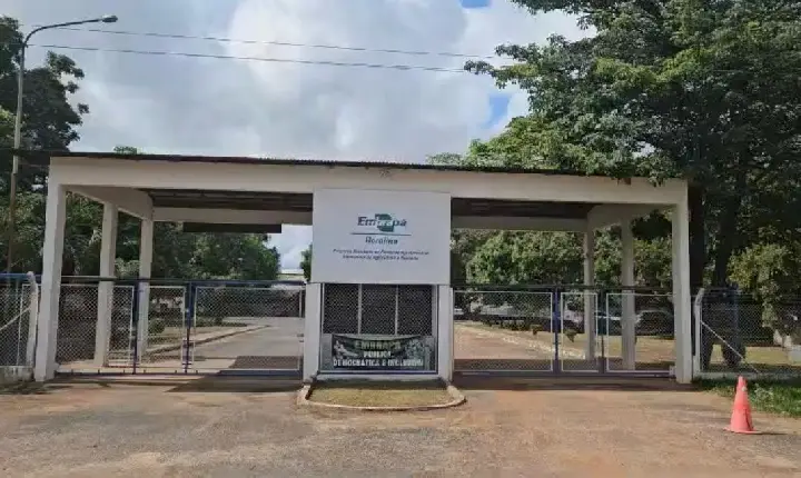 Cultivo de grãos será tema de encontro da Embrapa Roraima nos dias 9 e 10 de Abril