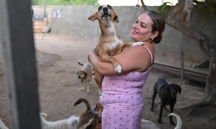 Dezembro Verde mobiliza Roraima contra o abandono e os maus-tratos de animais