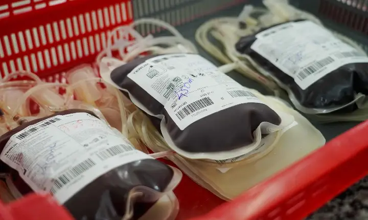 Dia Mundial do Doador de Sangue: ALERR destaca leis que incentivam a doação em Roraima