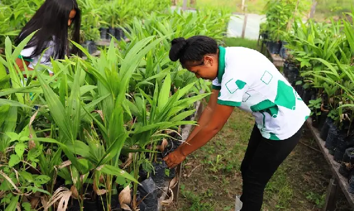 Edital seleciona projetos de extensão e oferta 37 bolsas para 2026 no IFRR