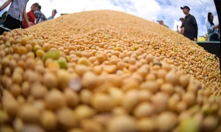 Eficiência na gestão coloca Roraima entre líderes nacionais em captação de recursos