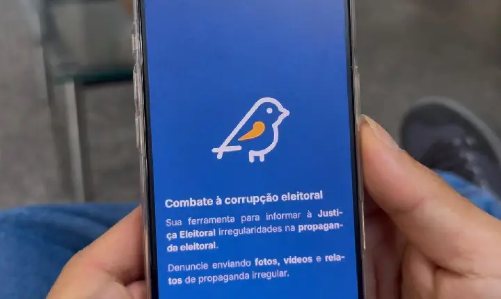Eleitor pode denunciar propaganda irregular pelo aplicativo Pardal