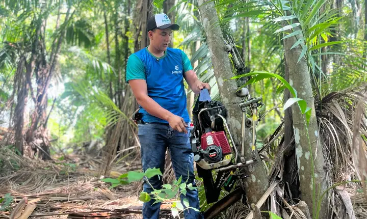 ENTRE A TRADIÇÃO E A INOVAÇÃO, TECNOLOGIA BUSCA TORNAR MAIS SEGURA A COLHEITA DO AÇAÍ EM RORAIMA