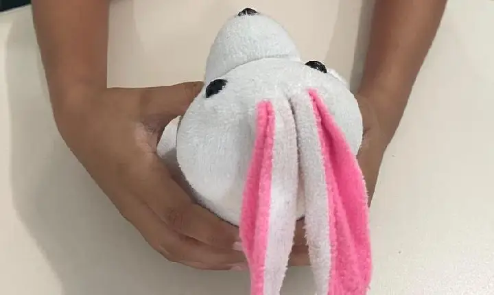 IFRR e Governo Federal lançam Escola de Conselhos de Roraima em fevereiro com 520 vagas em curso gratuito