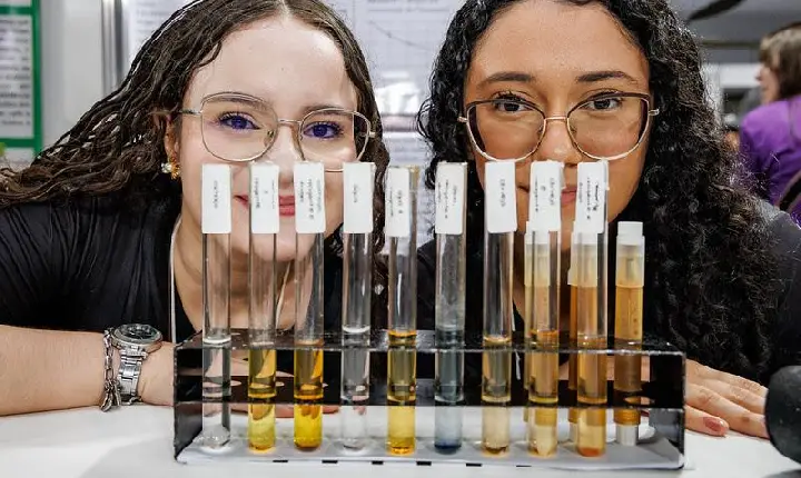 Estudantes de Roraima apresentam projetos científicos na FEBRACE 2026