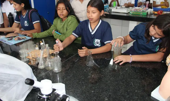 Estudantes de Roraima já podem se inscrever no Prêmio Jovem Cientista 2026