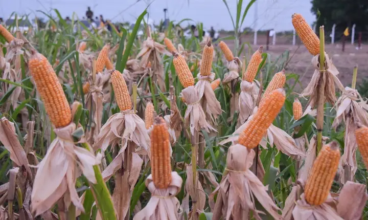 Expoferr 2026 terá espaço dedicado à inovação e novas tecnologias para o campo