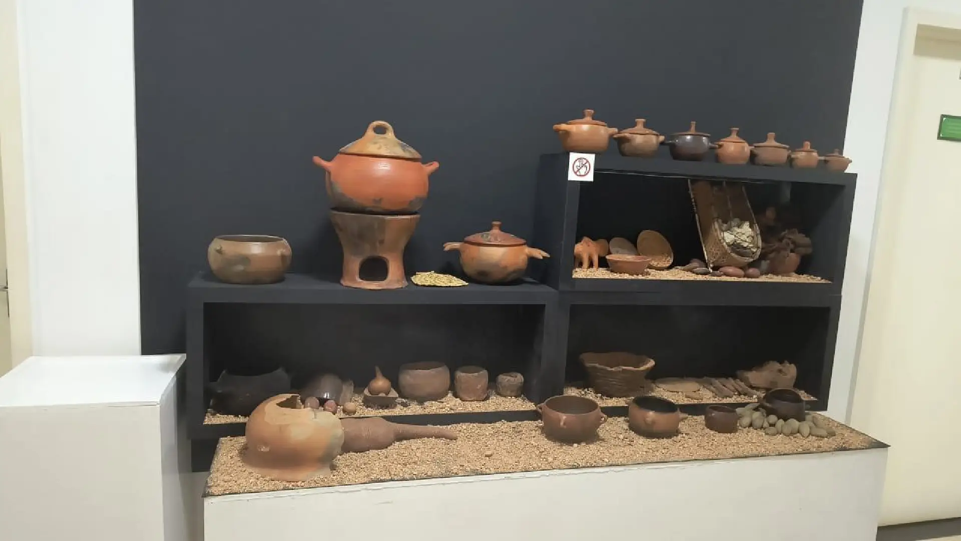 Exposição imersiva “AmaR-zônia” ganha sede permanente no Museu Integrado de Roraima