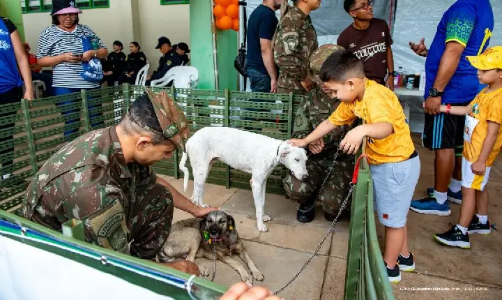 Feira de Adoção da Operação Acolhida garante novos lares para animais resgatados