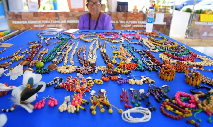 Festival Indígena Anna Eseru reúne cultura e tradição em Roraima