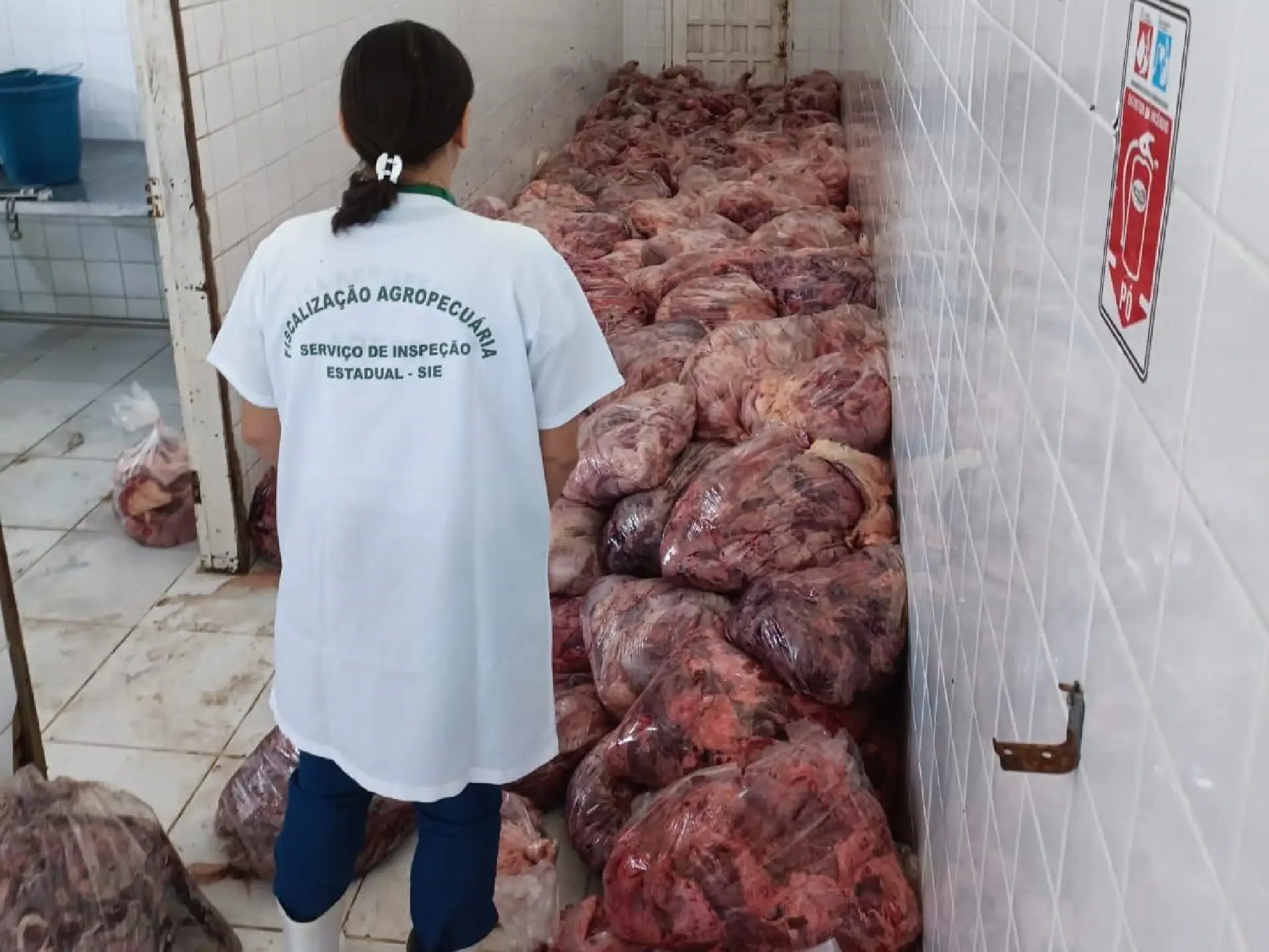 Fiscais da Aderr apreendem 5 toneladas de carne imprópria para o consumo