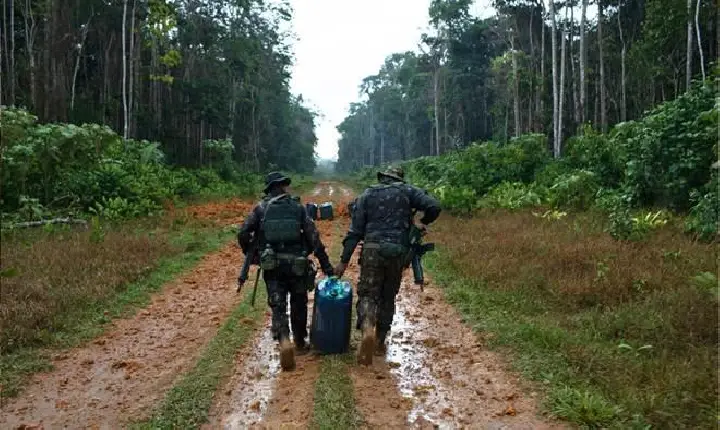 Garimpo ilegal tem queda de 98,77% na Terra Yanomami afirma governo federal