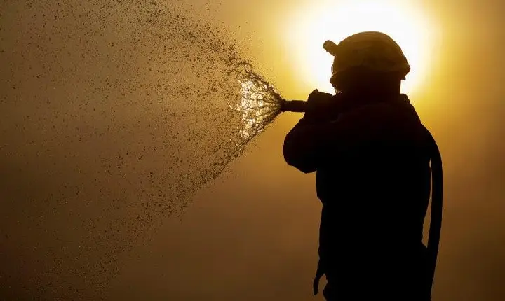 Governo define calendário de áreas em emergência ambiental por risco de incêndios florestais