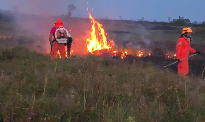 Governo intensifica combate às queimadas com bases avançadas em nove municípios