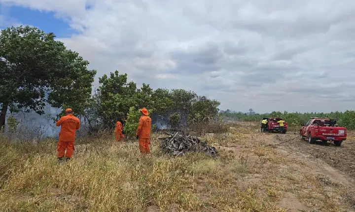 Governo retoma qualificação de brigadistas e prevê certificar mais de 1,2 mil bombeiros civis