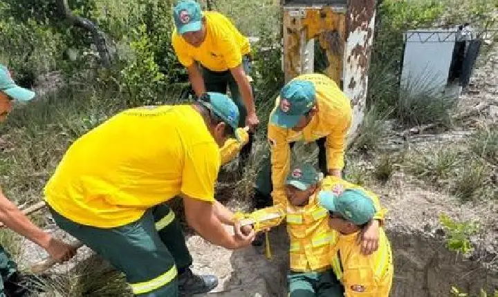 Ibama capacita 103 brigadistas indígenas em primeiros socorros em Roraima