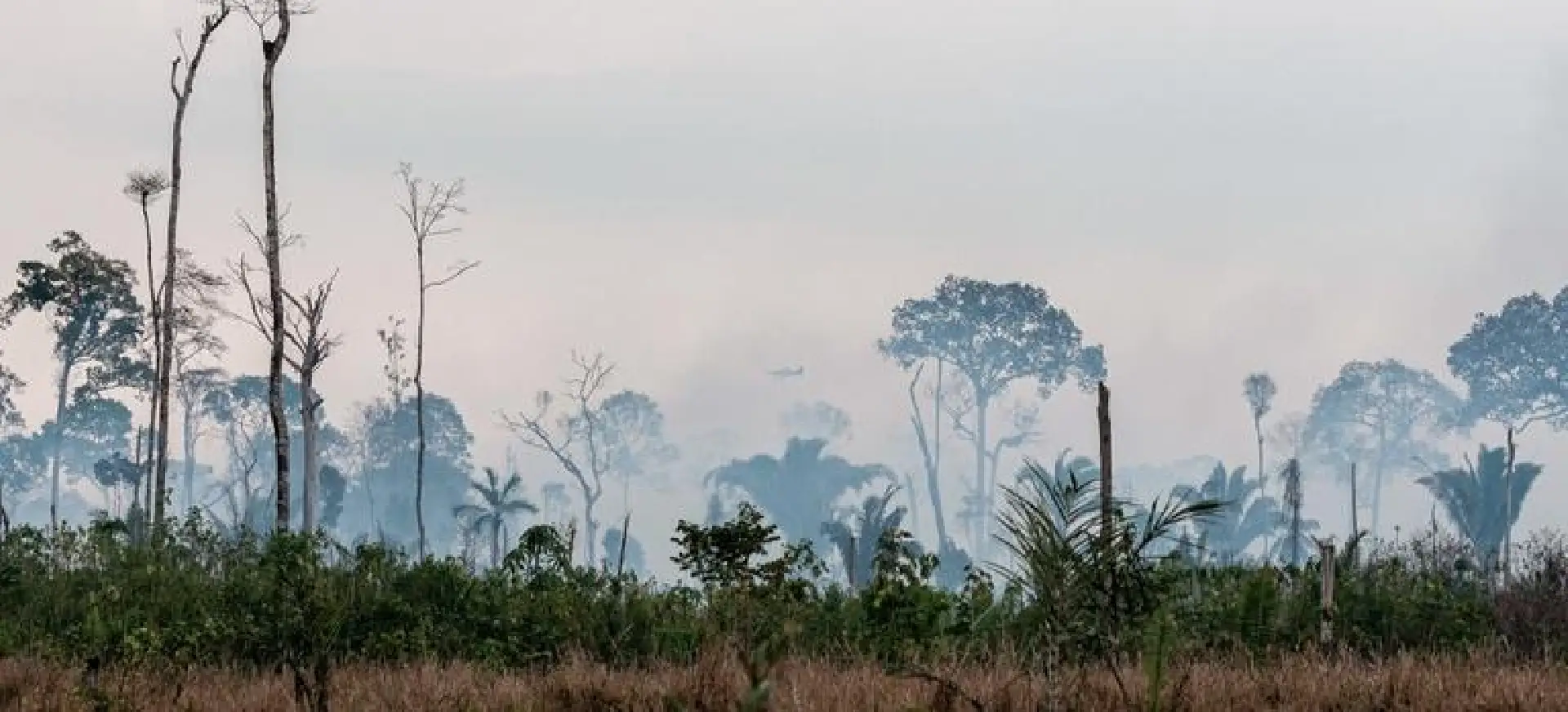 Ibama inicia Operação Apoena para prevenir incêndios florestais na Amazônia
