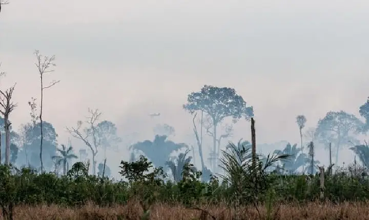 Ibama inicia Operação Apoena para prevenir incêndios florestais na Amazônia