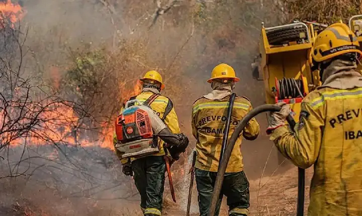 Incêndios atingem 36 municípios do Amazonas e mobilizam reforço no combate ao fogo