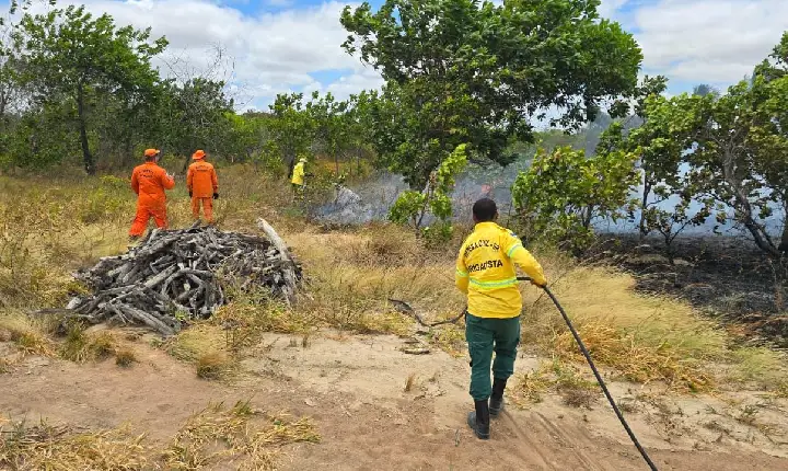 Incêndios aumentam em Roraima e mobilizam ações intensivas dos Bombeiros